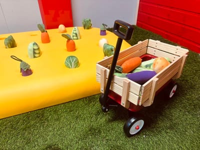 Townies Indoor Play