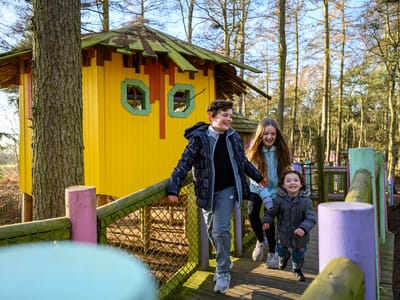 Bewilderwood